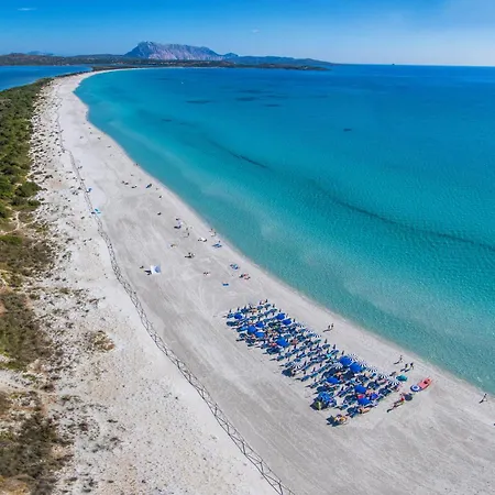 Residenze Gallura 산테오도로